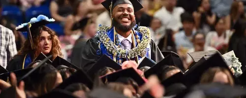 The Financial Edge: How Higher Education Boosts Household Net Worth