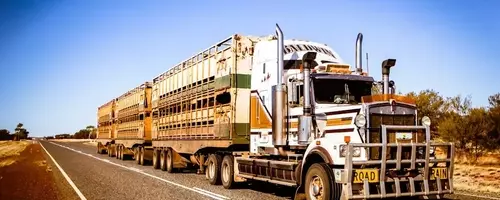 Transportation Sector Performance: A Tale of Two Trends Amid Rising Fuel Costs
