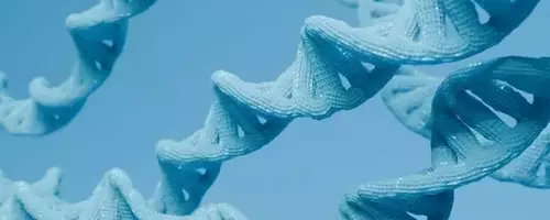 Design Therapeutics Faces Market Scrutiny Over Friedreich's Ataxia Drug Data