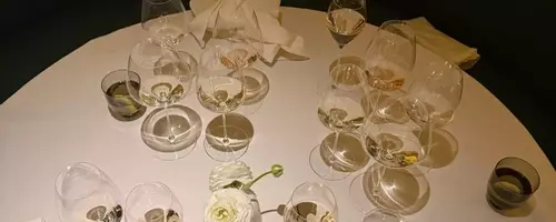 A Culinary Voyage: The Four Seasons Yacht Experience