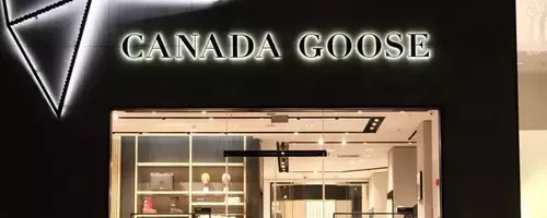 Canada Goose: Navigating Seasonal Shifts and Global Market Dynamics