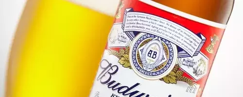 Anheuser-Busch InBev: A Closer Look at Recent Performance and Future Prospects