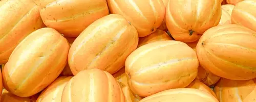 A Connoisseur's Guide to Selecting the Perfect Melon