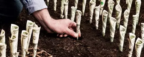 Top Dividend Energy Stocks for August: A Comprehensive Analysis