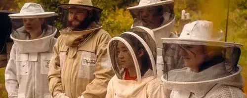 Veterinary Students Expand Focus to Honeybee Health
