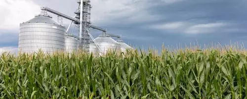 Alto Ingredients: A Promising Investment in Renewable Fuels