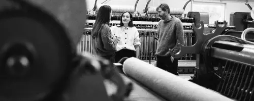 Skall Studio's Commitment to Sustainable Danish Wool Production