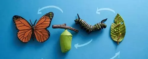 Caterpillar's AI Infrastructure Momentum vs. Valuation Risks