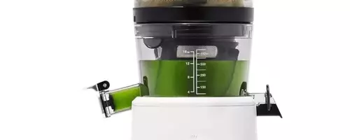 Top Juicers of the Year: A Comprehensive Buying Guide