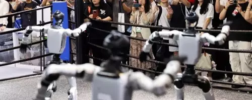 DeepSeek's Strategic Investment and Collaboration with Unitree in Humanoid AI Development