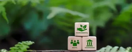 Innovations in Tailings Reprocessing: A Sustainable Future for Mining