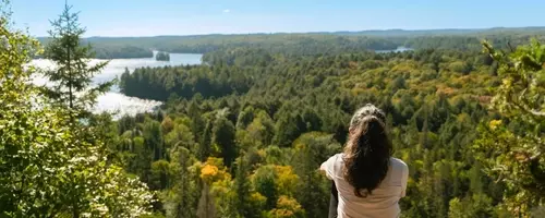Algonquin Power: A Strategic Shift Towards Stability and Growth