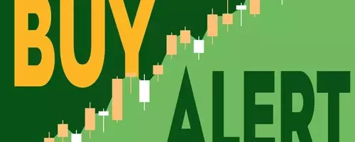 Tractor Supply CEO Increases Stake Amidst Stock Dip