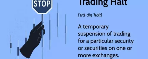 Understanding Trading Halts in Financial Markets