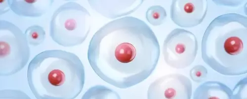 Corvus Pharmaceuticals: Advancing Soquelitinib for PTCL and Atopic Dermatitis