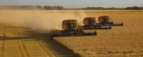 Diversifying Investments: Exploring Opportunities in the Agricultural Sector