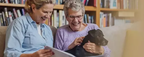 Annuities: A Comprehensive Overview of Retirement Income Strategies