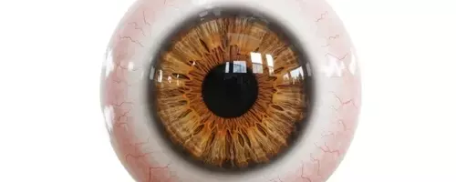 Aura Biosciences: A Deep Dive into Ocular Oncology and Bel-sar's Market Potential