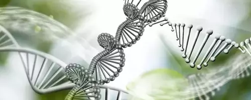 Immunome's Strategic Leap: A Strong Buy for Biotech Investors