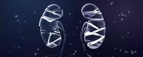 ProKidney's Rilparencel: A High-Stakes Bet on an Unproven Therapy