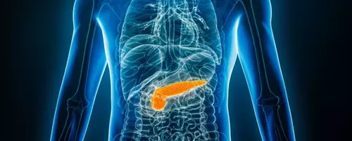 Tango Therapeutics' Vopimetostat Shows Early Promise in Pancreatic Cancer Treatment
