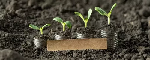 Virtus KAR Small-Mid Cap Growth Fund Q2 Performance Review