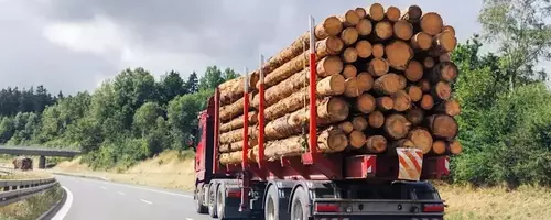 Timber Sales and Social Security: Investor or Logger?