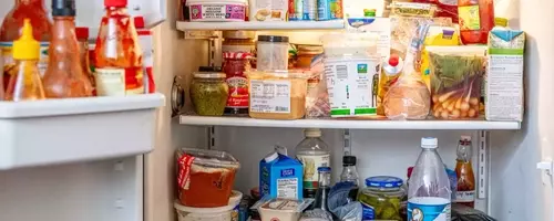 Conquering Unpleasant Refrigerator Smells
