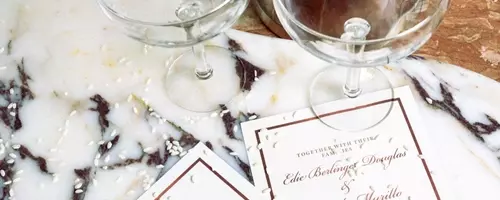 A Fairy-Tail Wedding: Edie Berlinger-Douglas and Tuxedo Murillo's Canine Nuptials