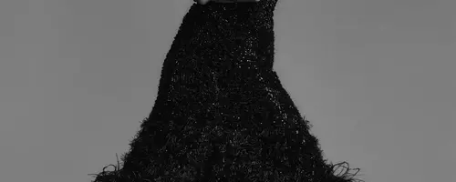 Gabbriette: The Multitalented Star Defying Industry Norms