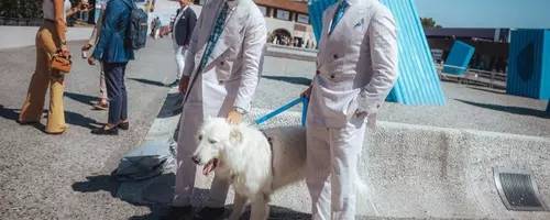 Fashion Week's Most Stylish Canines Steal the Spotlight
