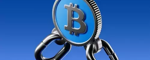 Bitcoin Stability Amid Market Dynamics: Volatility, Capitulation, and Long-Term Holder Trends