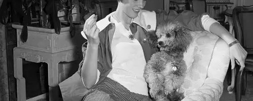 A Lifetime of Canine Companions: Julie Andrews and Emma Walton Hamilton's Enduring Love for Dogs