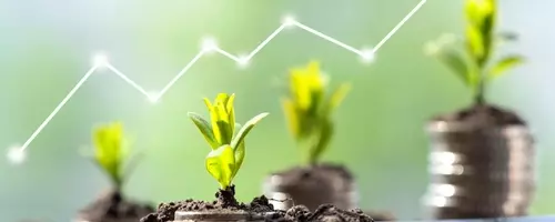 GRW's Q2 2026 Outperformance and Long-Term Strategy