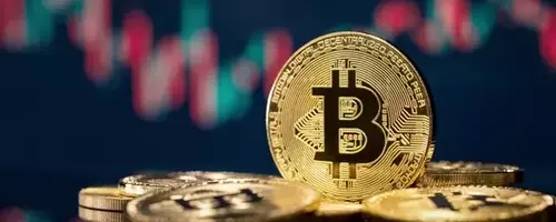 Leading Cryptocurrencies Show Mixed Performance This Week