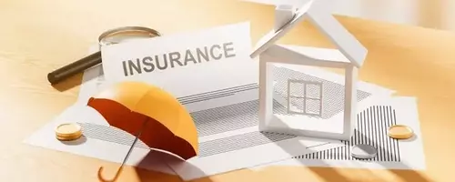 The Evolution of US Excess and Surplus Homeowners Insurance Market