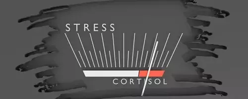 Corcept Therapeutics: Growth Driven by Innovation and Strong Financials