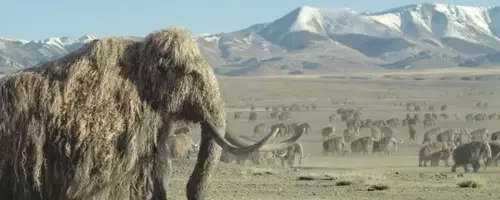 “Prehistoric Planet: Ice Age” Soundtrack Unleashes Ancient Sounds with Zimmer, Talve, and Rozman
