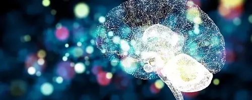 Bloom Energy vs. Palantir: Which "Story Stock" Actually Has More Room to Run?