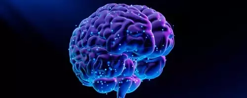 Rapport Therapeutics: A Promising Horizon in Neurological Disorder Treatment