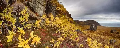 Valor Gold: A New Era for High-Grade Gold in Canada's Northwest Territories