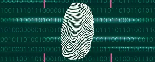 Palo Alto Networks: Anticipating Robust Q4 Growth Amidst Valuation Concerns