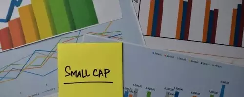 Vanguard FTSE All-World ex-US Small-Cap ETF (VSS): A Comprehensive Review of Diversification and Performance