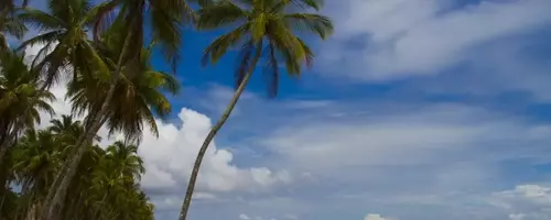 Brazil: A Retirement Paradise Beyond the Tourist Trail