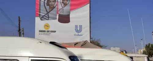 Unilever: A Strategic Investment in Emerging Market Growth and Shareholder Returns