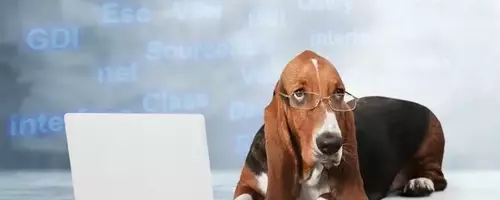 Datadog Stock Rebound: A Prime Investment Opportunity