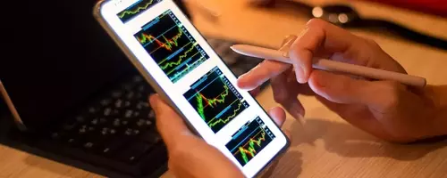 Understanding PAMM Accounts for Forex Trading
