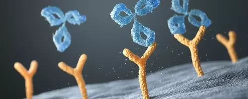 Regeneron's August Momentum: Dupixent's Dominance and New Drug Approval