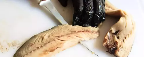 Mastering Fish Filleting: A Comprehensive Guide to the Best Knives