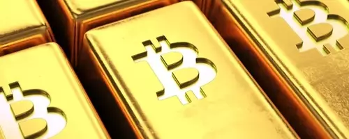 The Dual Defense Strategy: Bitcoin and Gold as Economic Shields